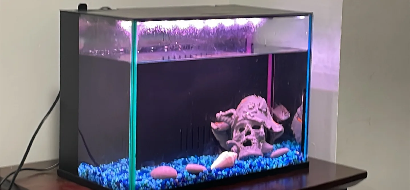 Fish Tank with Accessories image indicator(3)