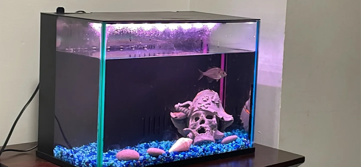 Fish Tank with Accessories image indicator(2)