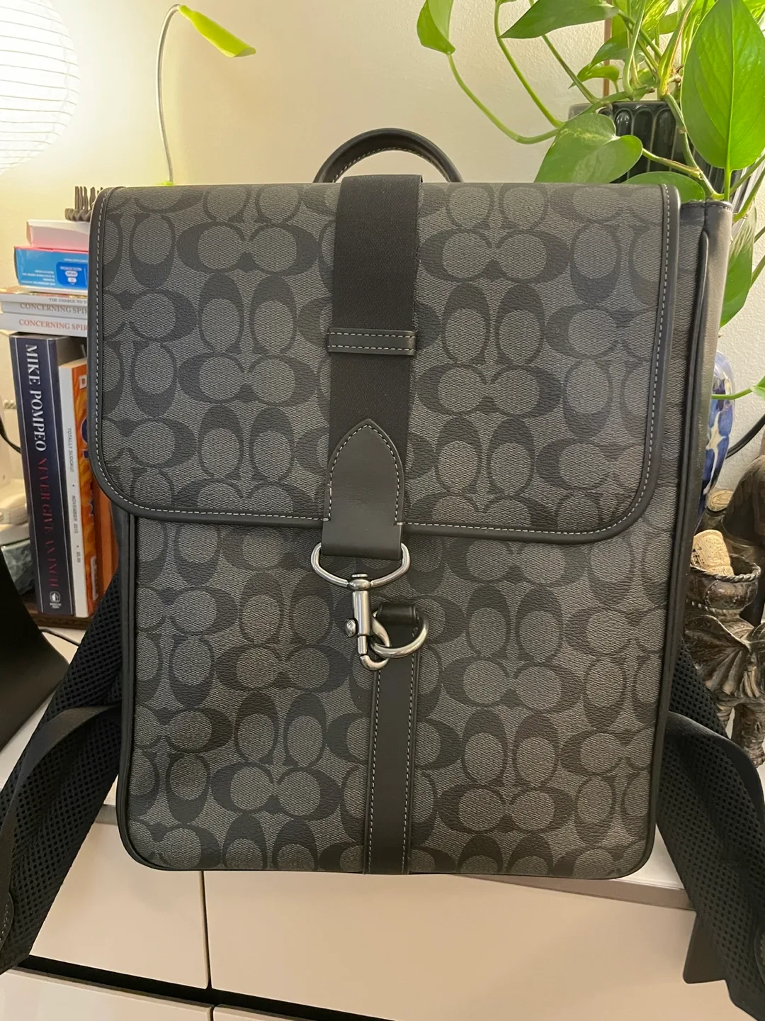 Coach Backpack thumbnail