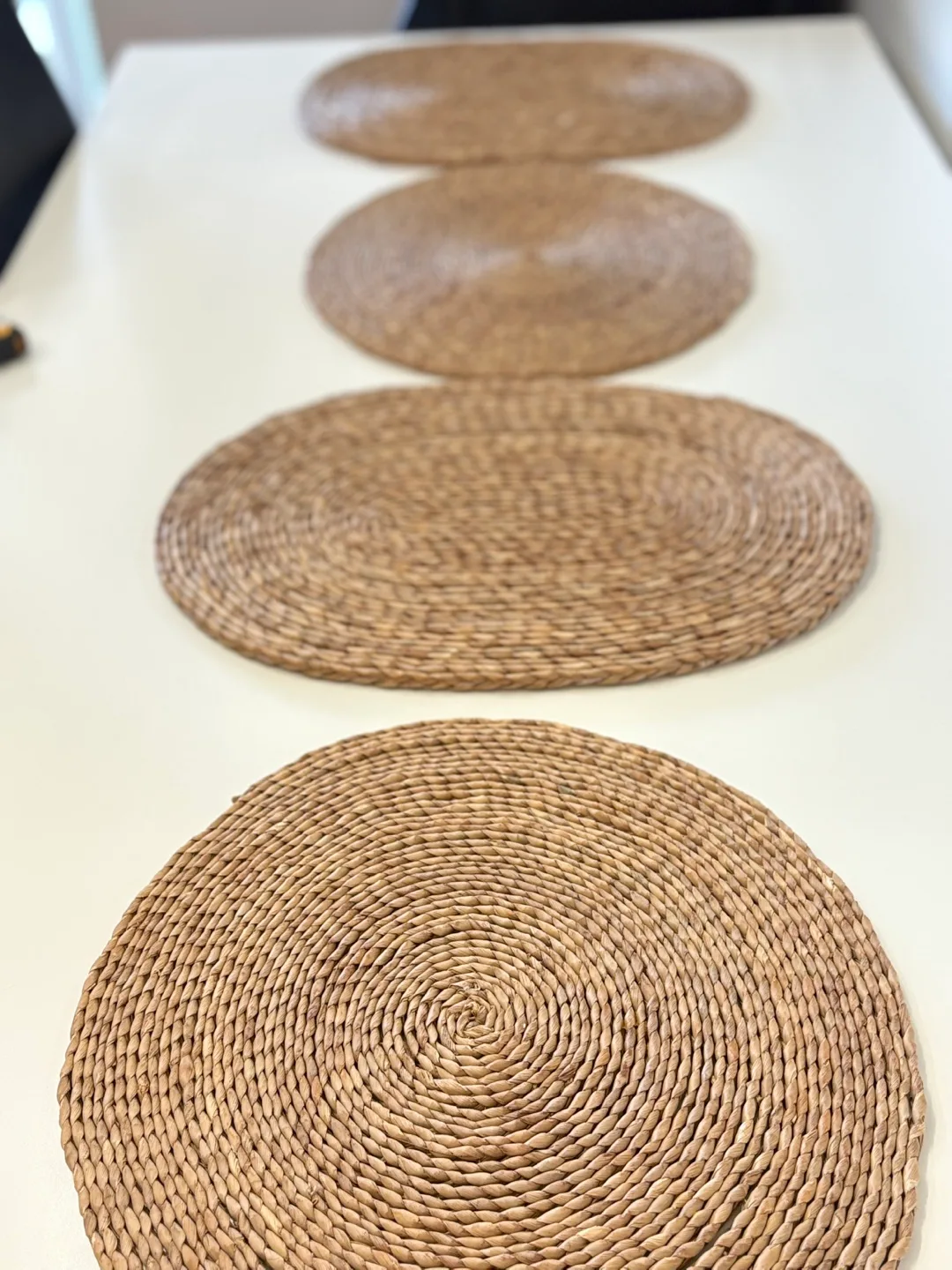 Woven Placemats - Set of 4 image indicator(10)