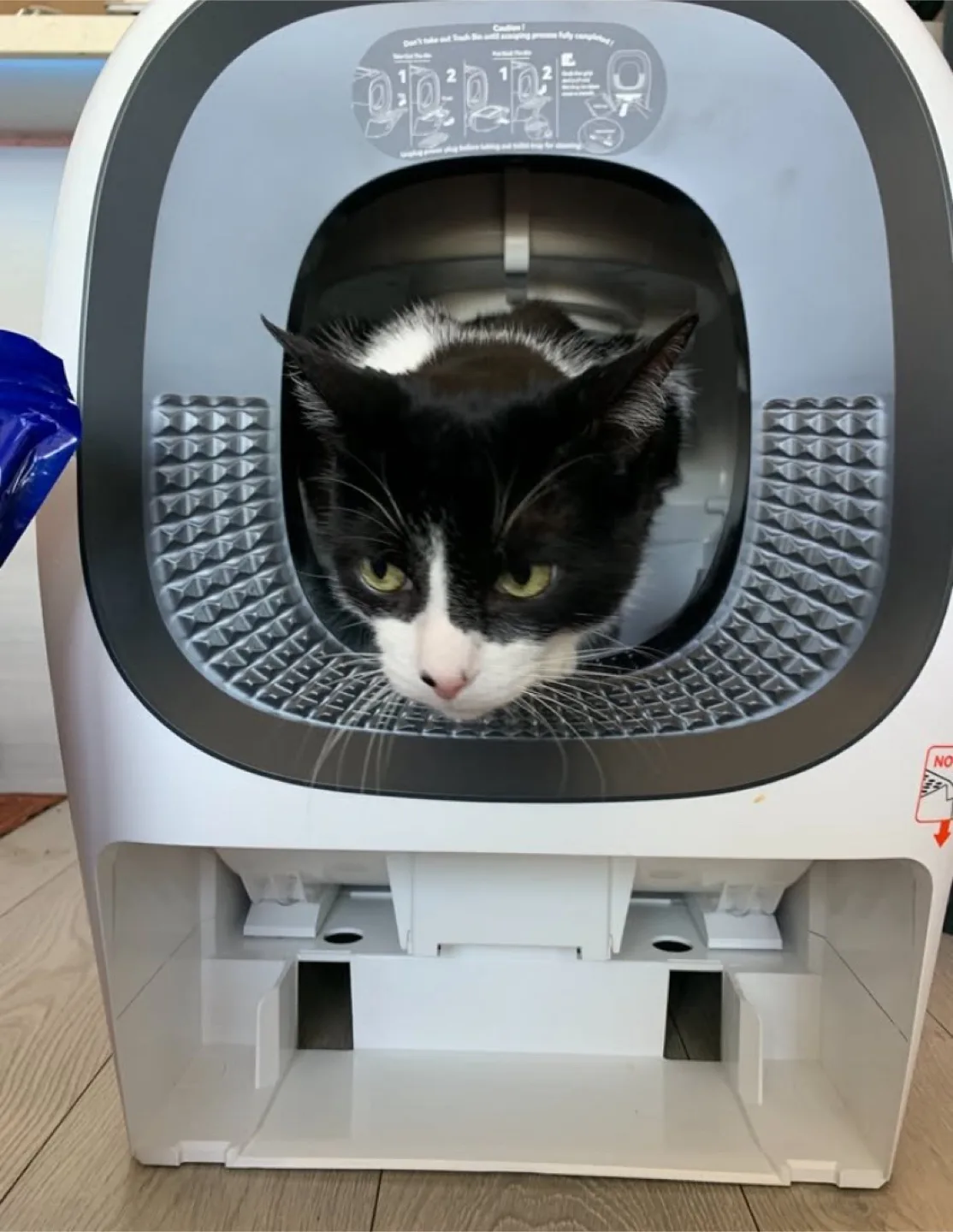 ‼️MUST-GO MOVING SALE‼️ LaLa Home real scooper smart cat litter image indicator(6)