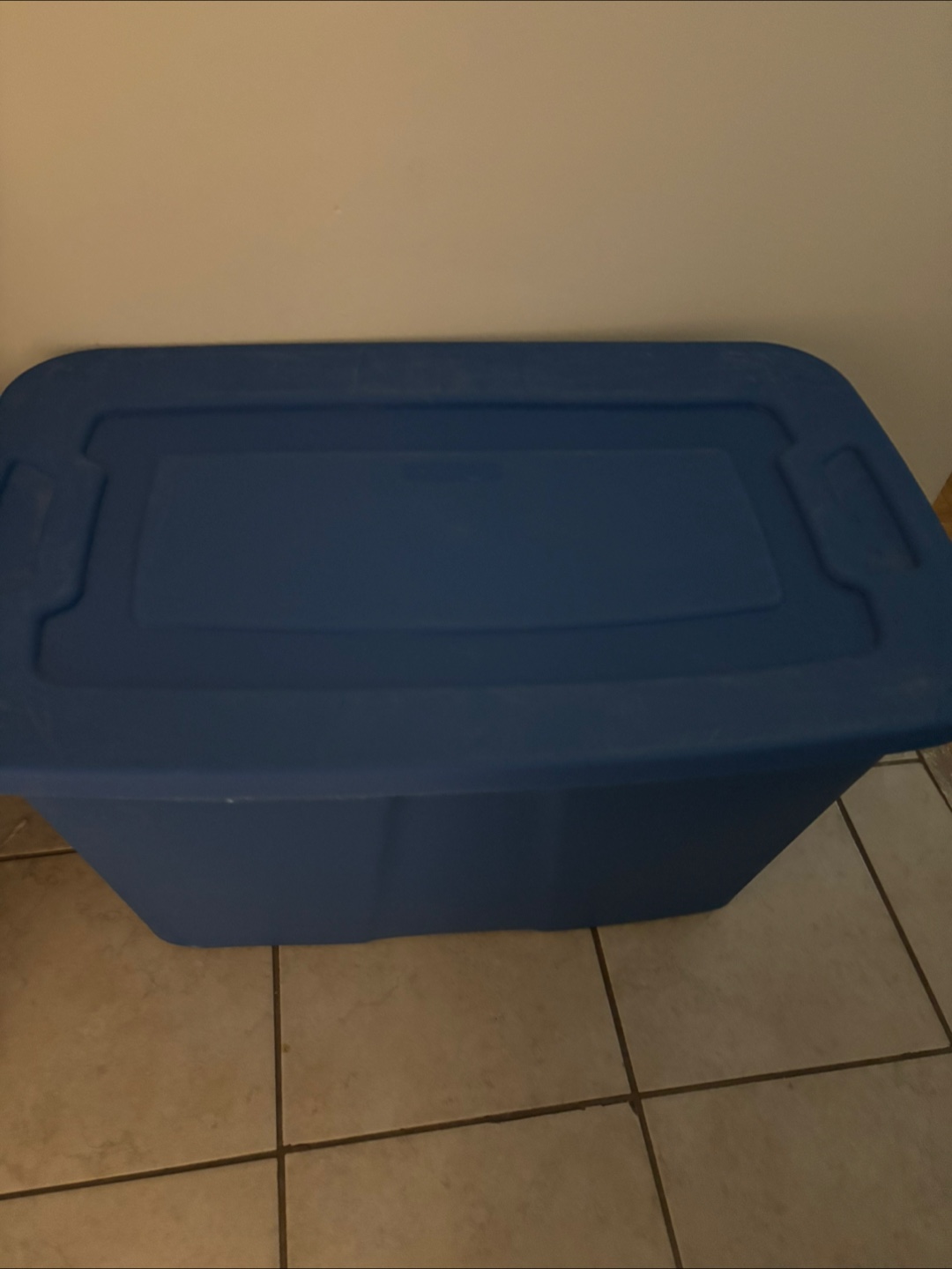 Blue Storage Bin with Lid