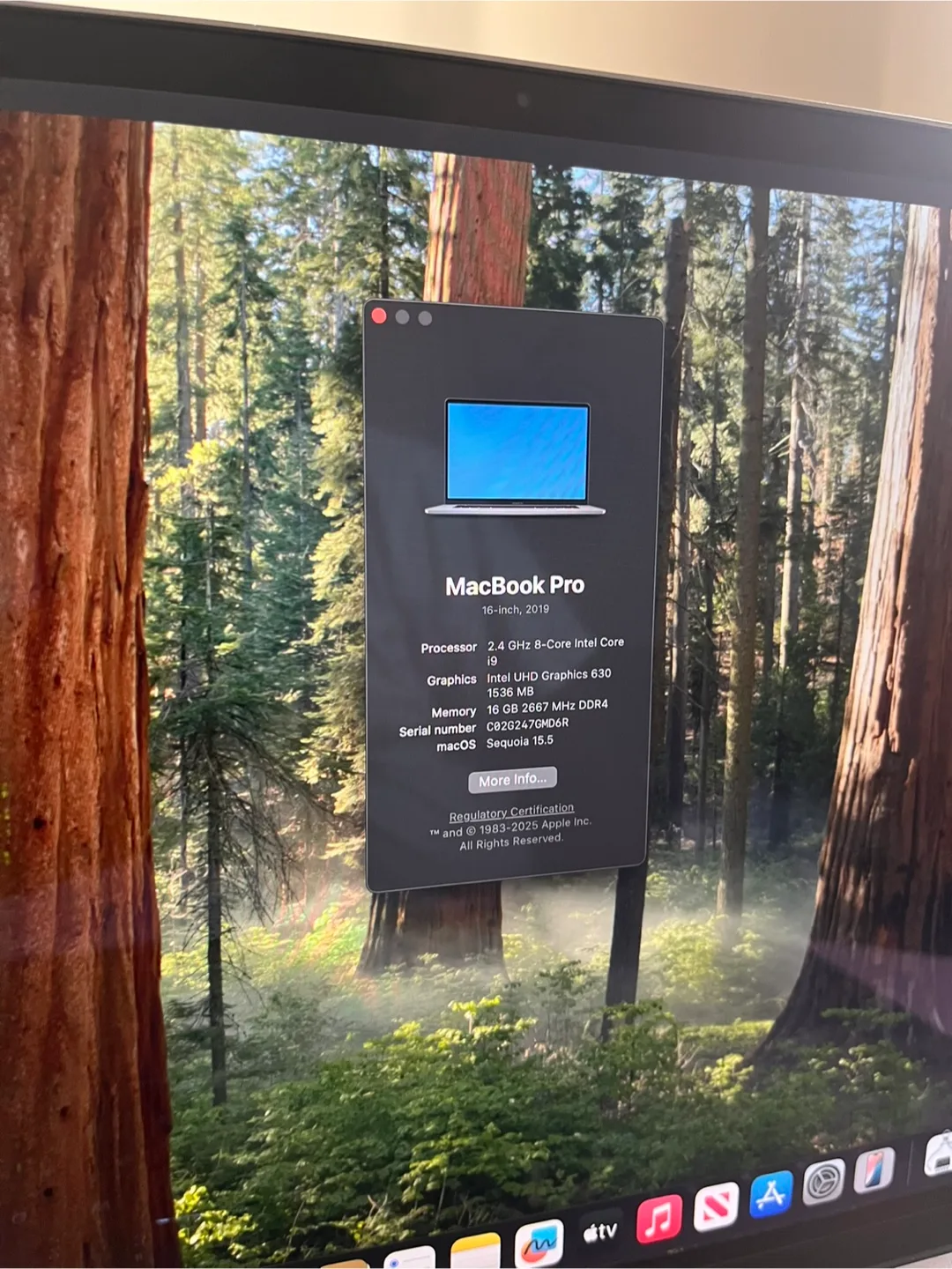 Apple MacBook Pro 16-inch image indicator(7)