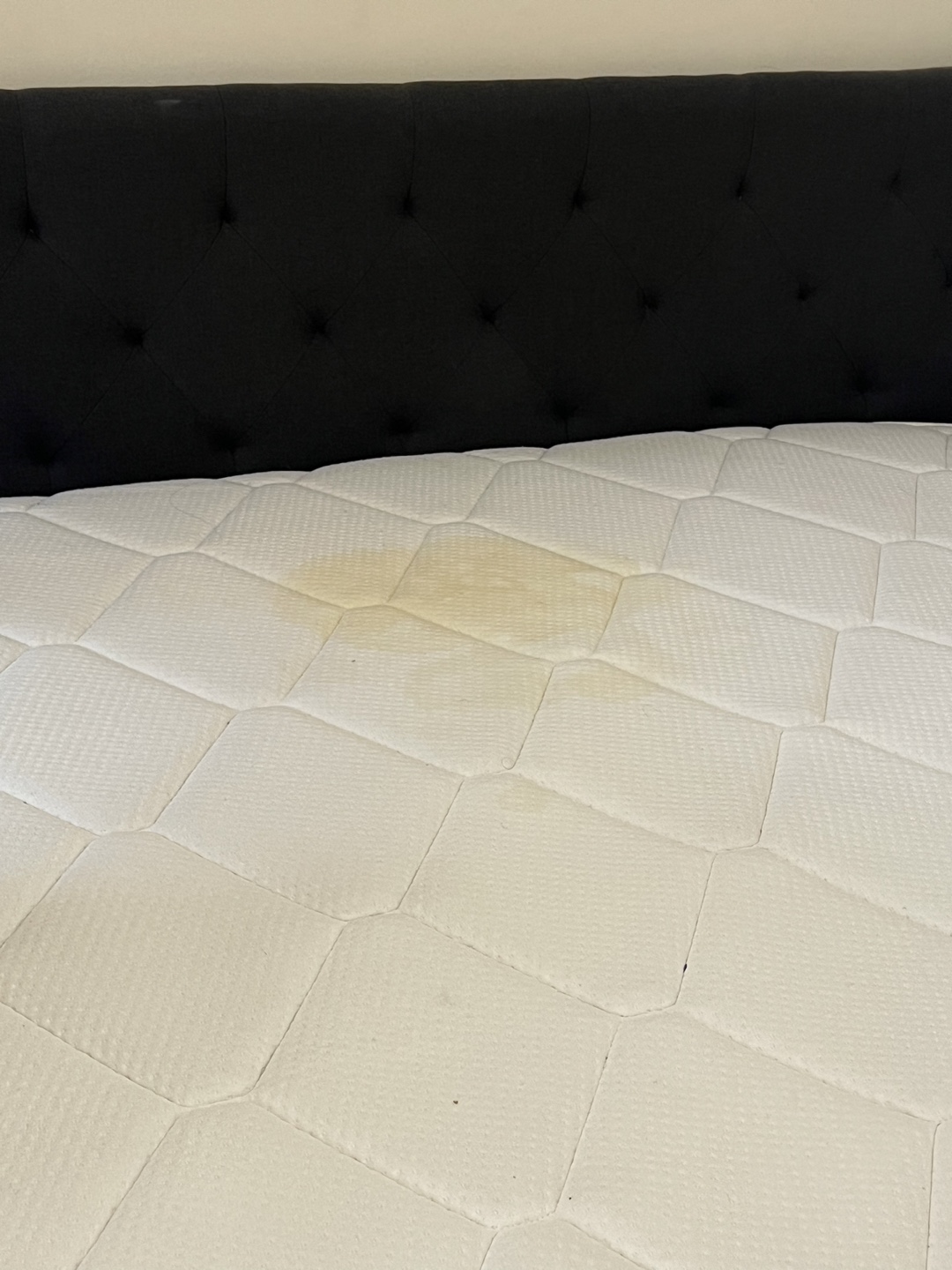 Queen size plush mattress - photo 2