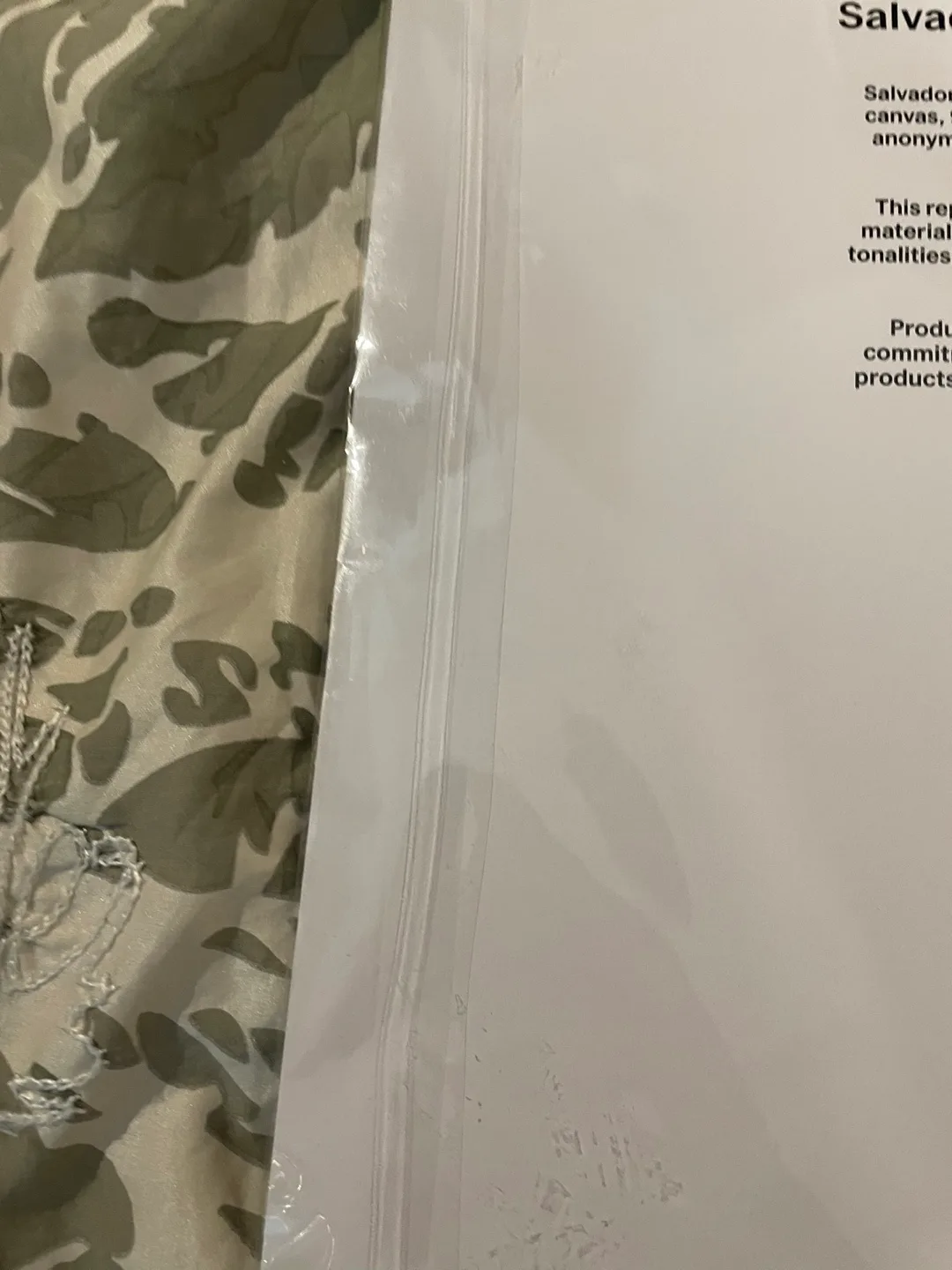 MOMA Salvador Dali 'Persistence of Memory’ print image indicator(4)