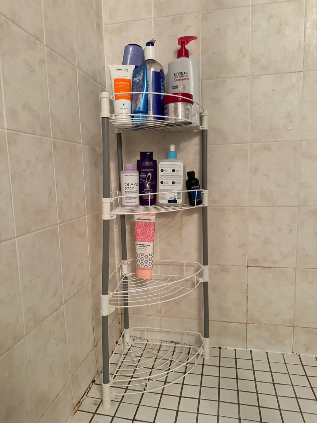 Shower Corner Shelf 🇨🇦 thumbnail