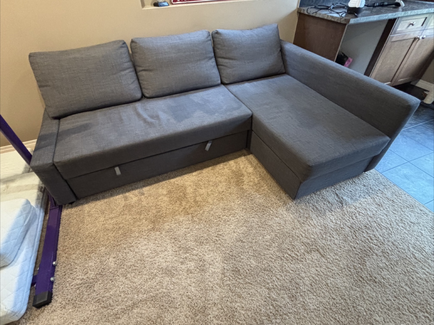 Grey Sectional Sofa with Pull-Out Bed