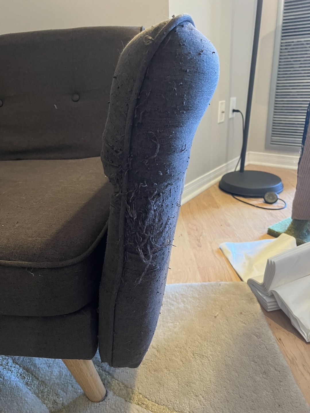 FREE GRAY COUCH - photo 3