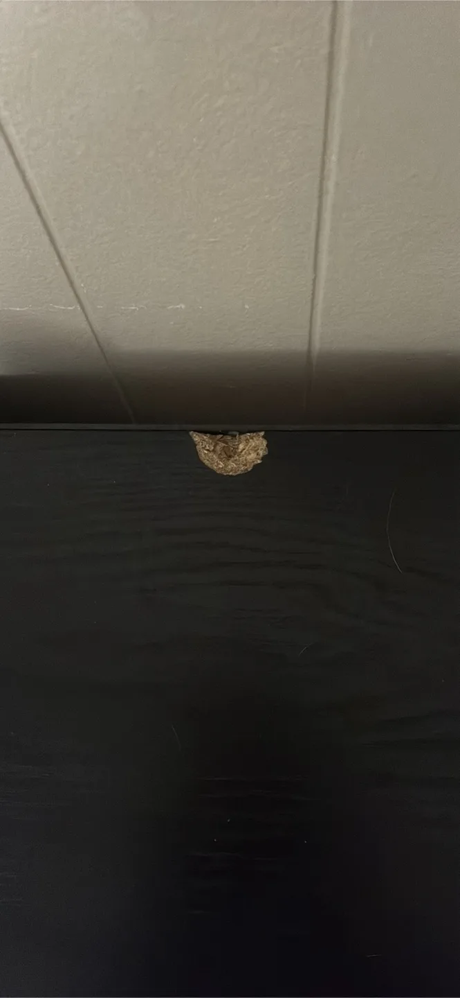 Black Dresser with Drawers image indicator(5)