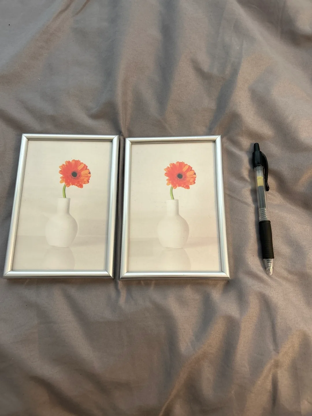 Two Silver Picture Frames image indicator(2)