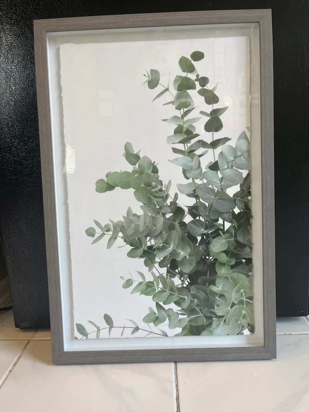 Eucalyptus Framed Wall Art thumbnail