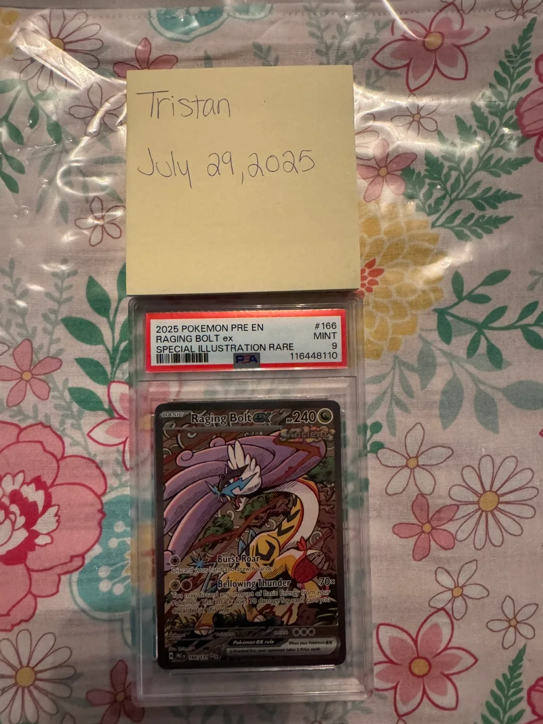 Raging Bolt ex Special Illustration Rare Pokemon Card thumbnail