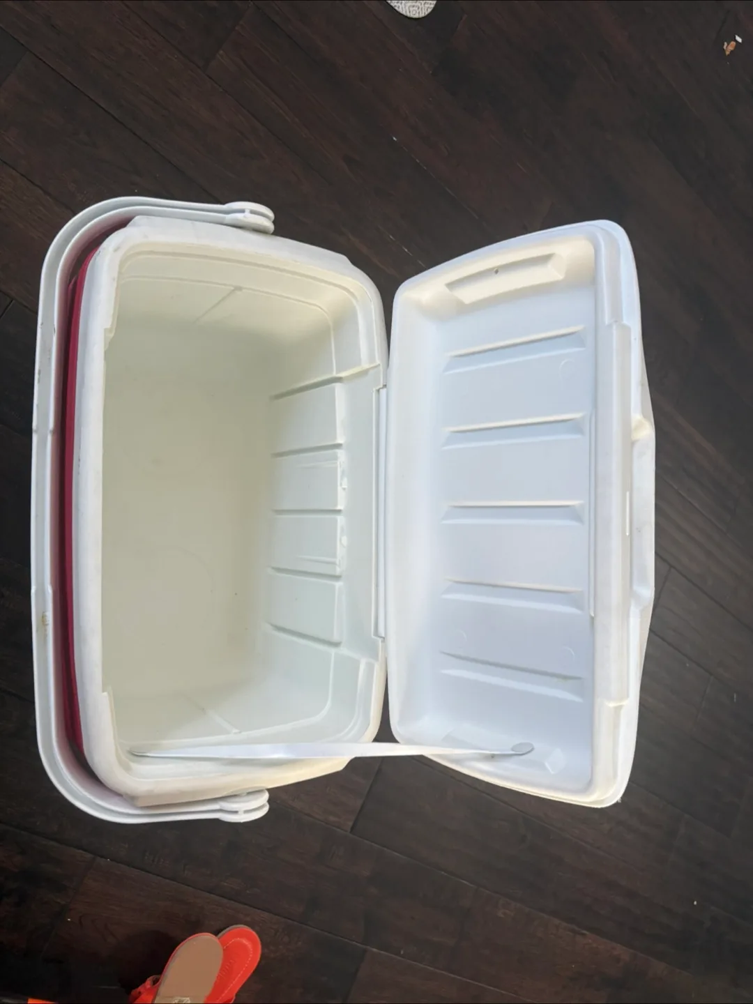 Thermos Cooler - Red and White image indicator(2)