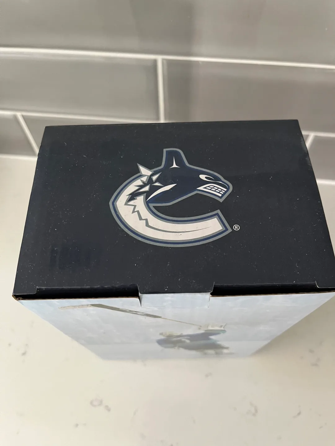 Vancouver Canucks Roberto Luongo Bobblehead image indicator(3)