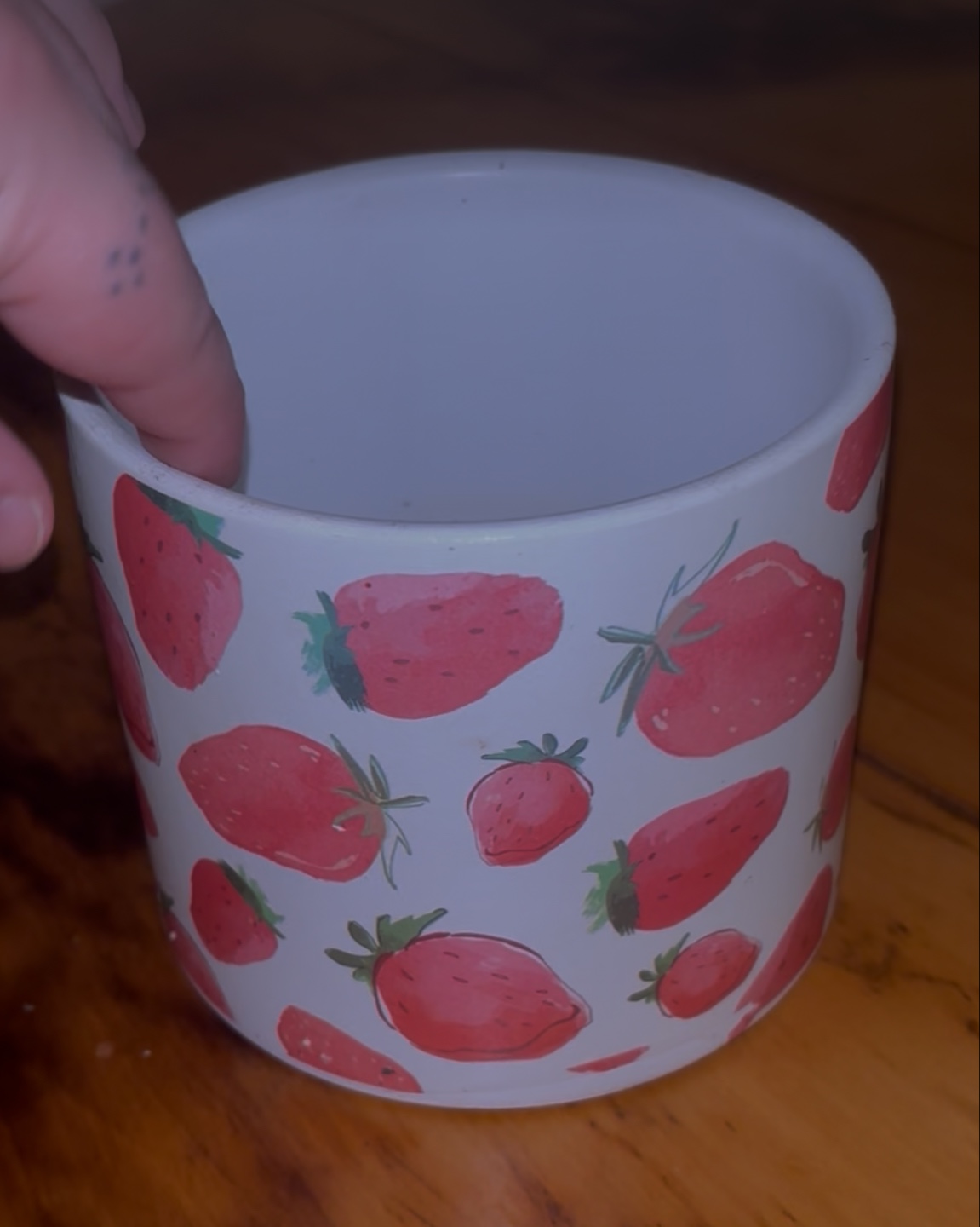 Strawberry Print Planter