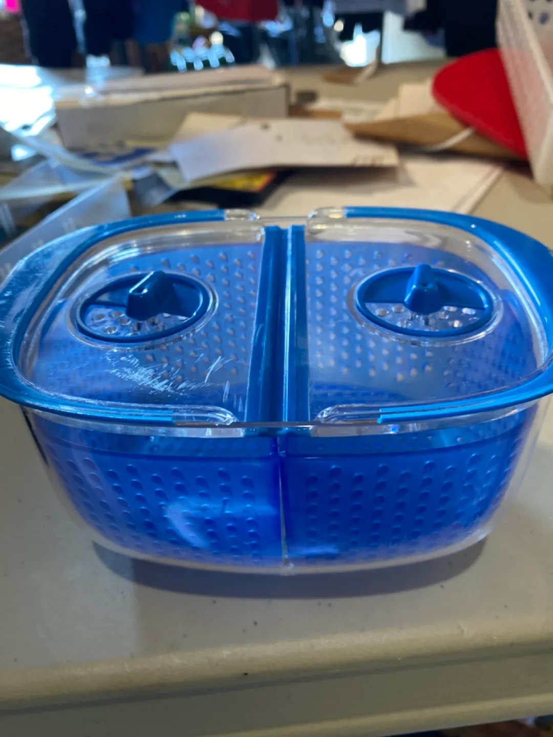 Berry/vegetable container thumbnail