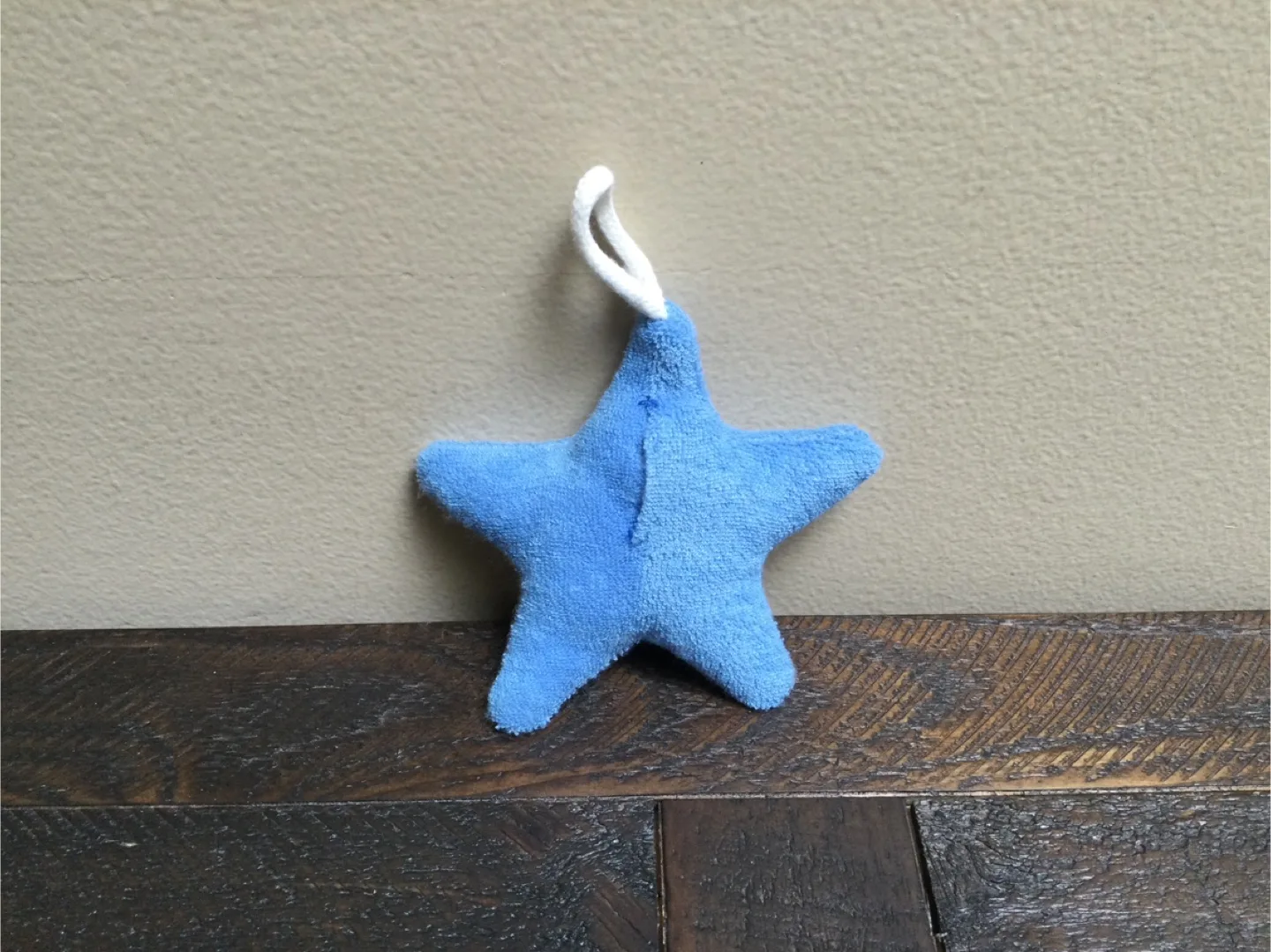 🇨🇦Free Blue Star Plush image indicator(2)