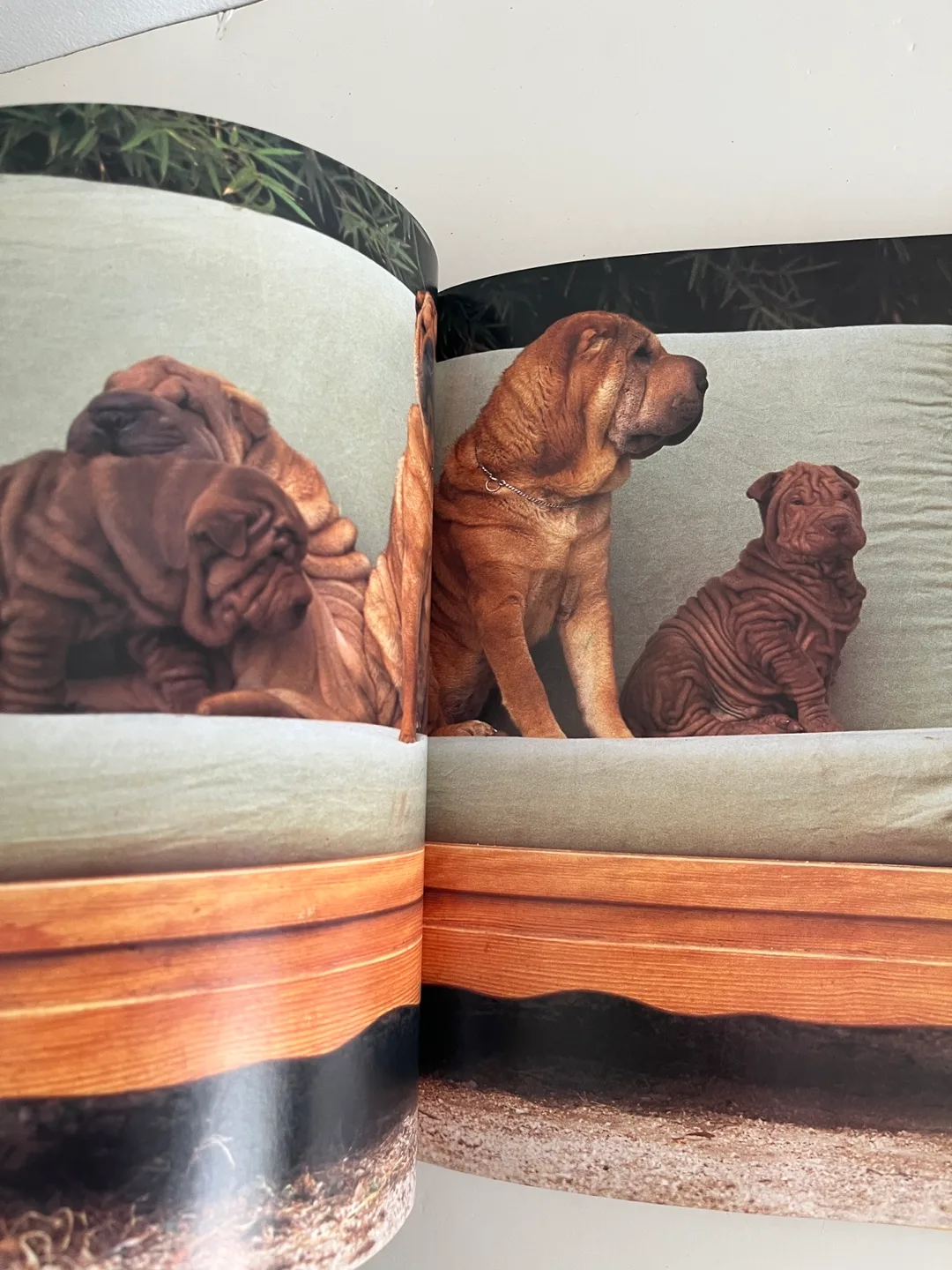 Illustrated Dogwatching by Desmond Morris image indicator(6)