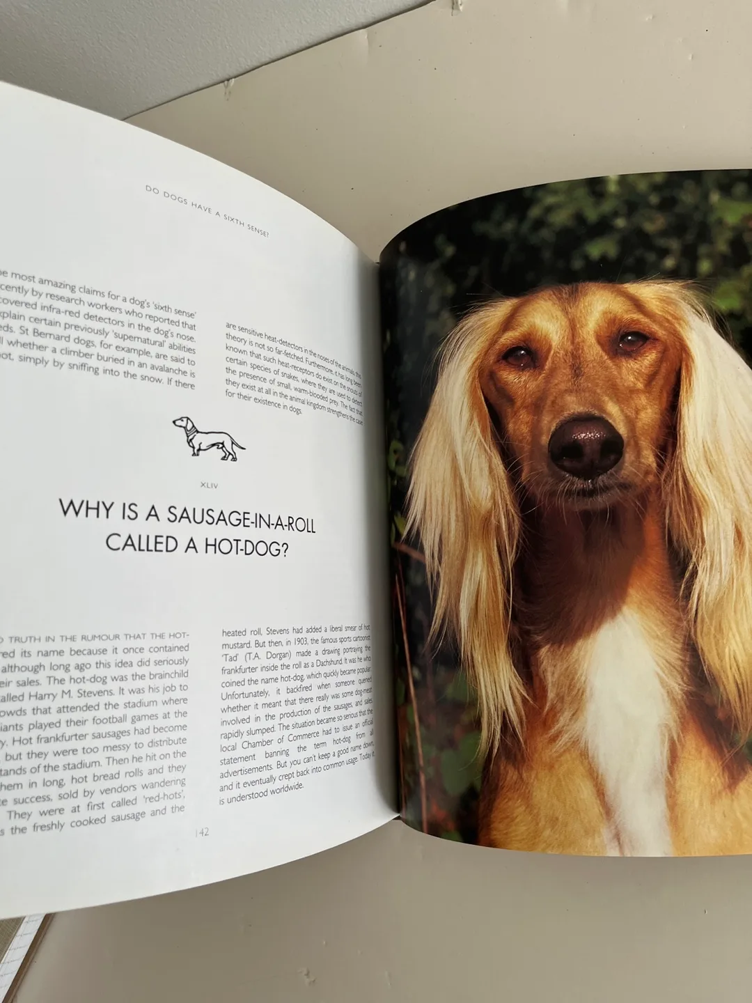 Illustrated Dogwatching by Desmond Morris image indicator(2)