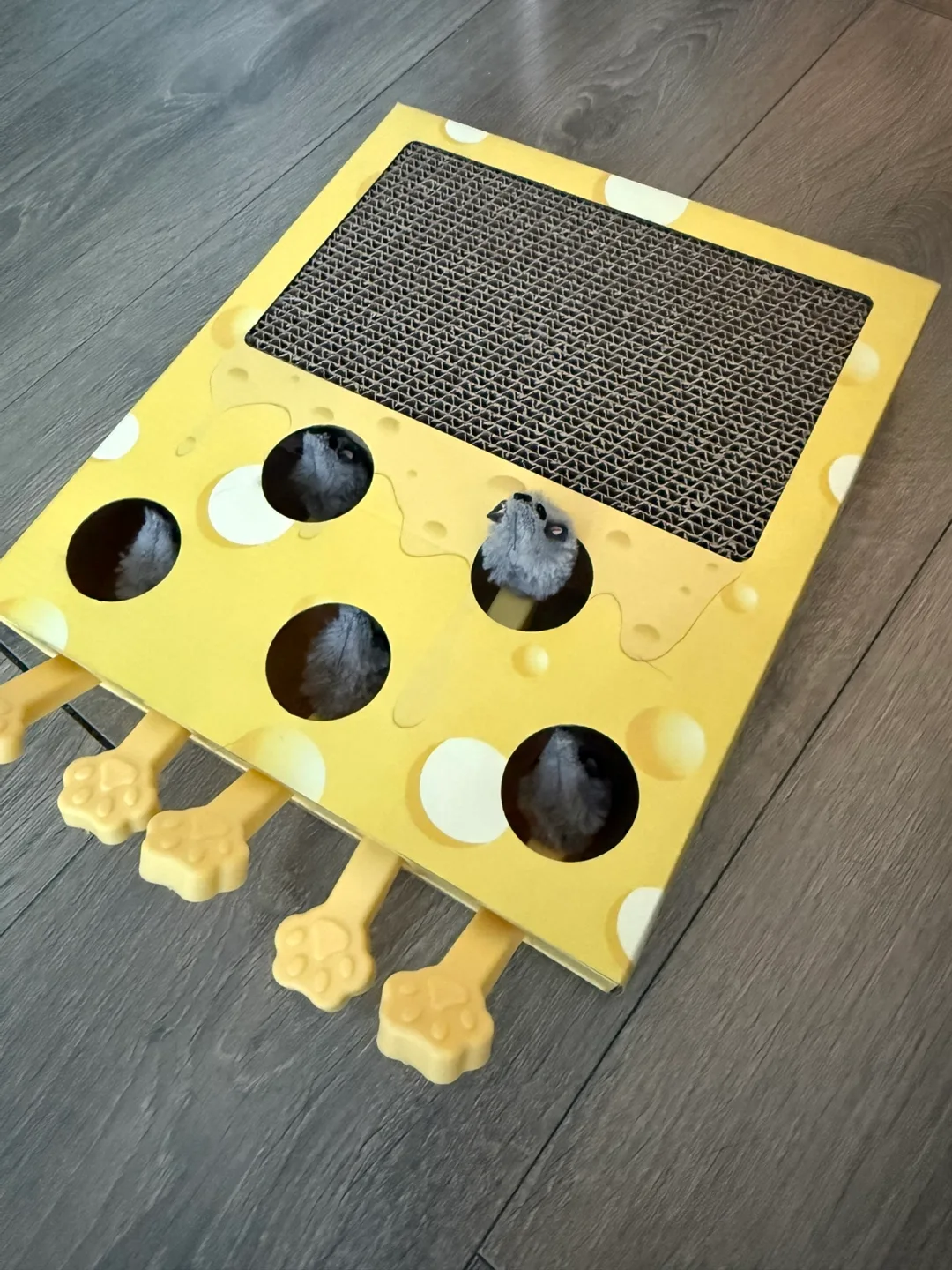 Cheese Cat Scratcher Toy (new) thumbnail