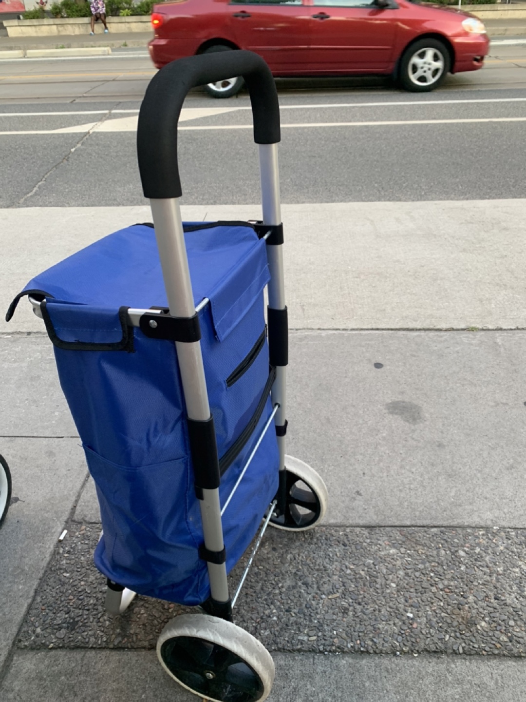 Blue Shopping Cart Trolley
