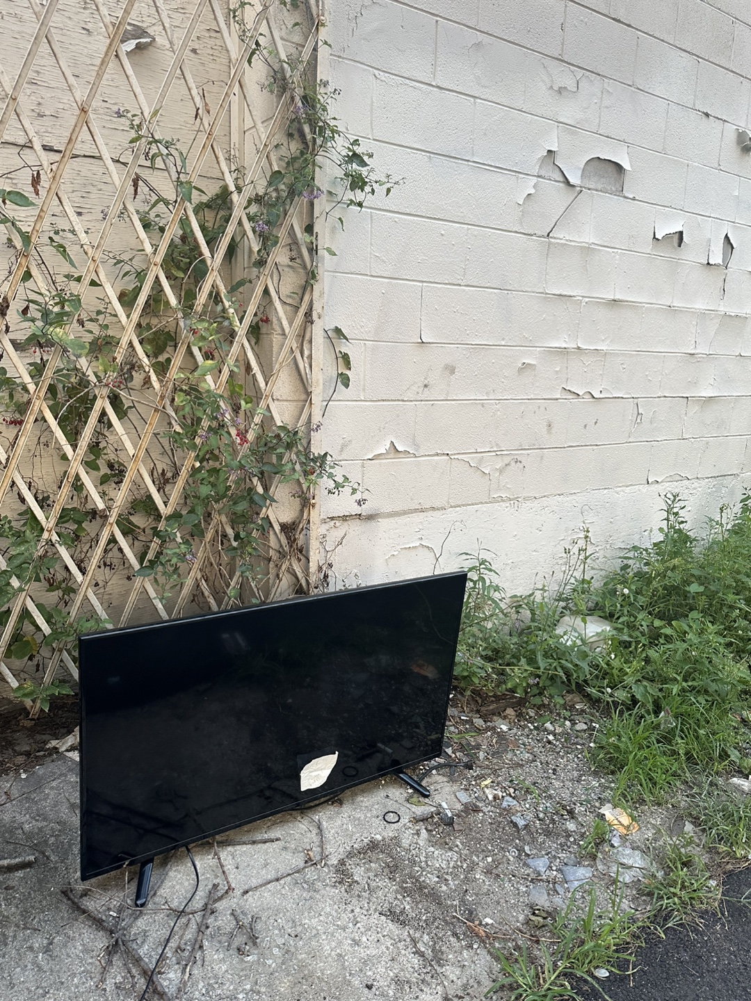 FREE - TV NOT Smart #freecycle