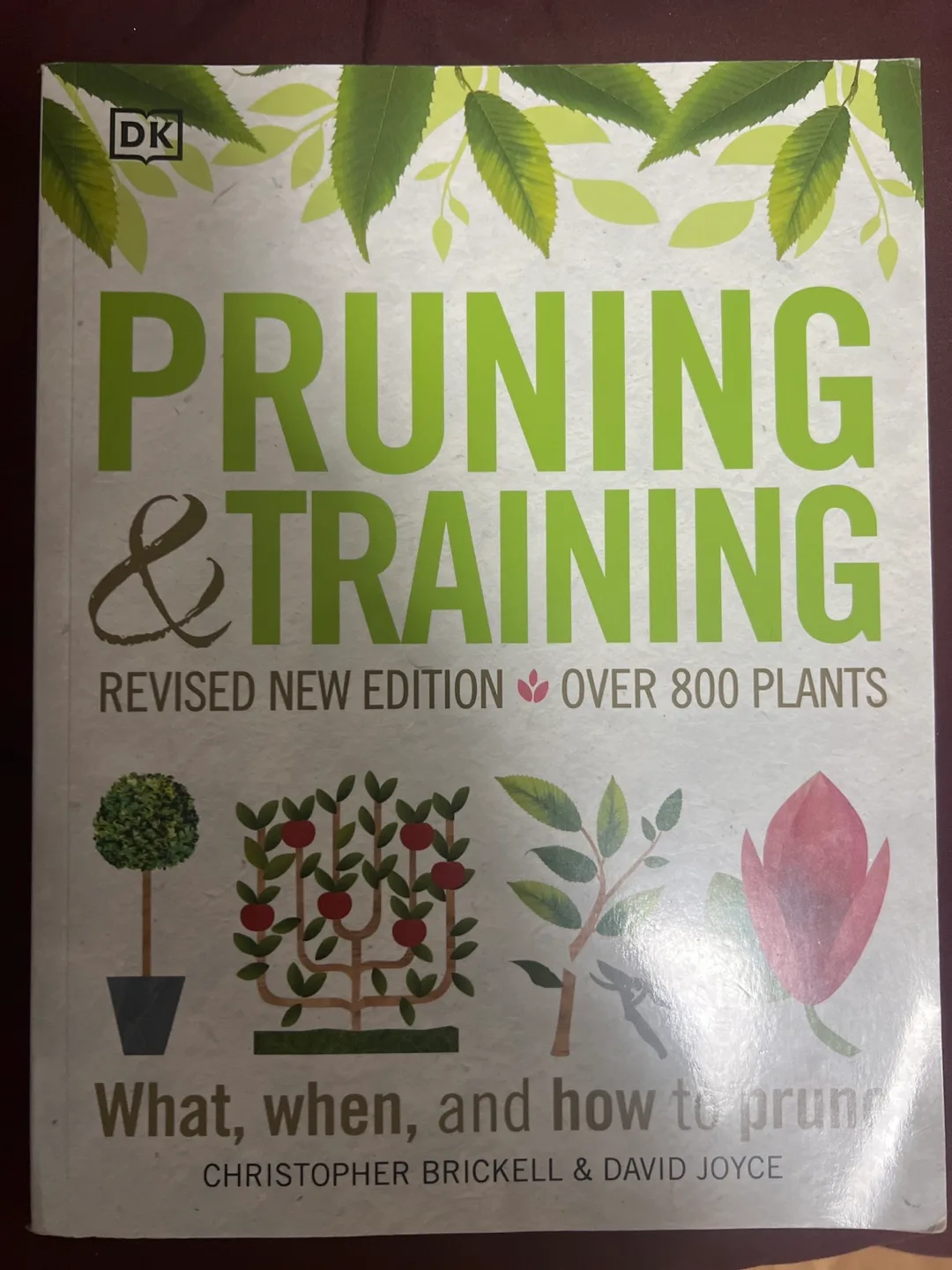 Pruning & Training: What, When, and How to Prune thumbnail