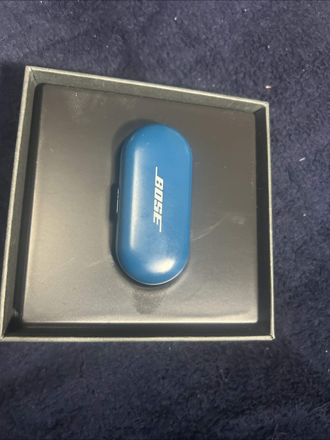 Bose QuietComfort Earbuds - Blue