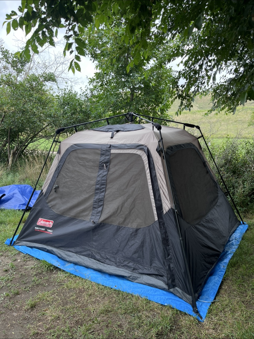 Coleman Instant Tent - photo 2