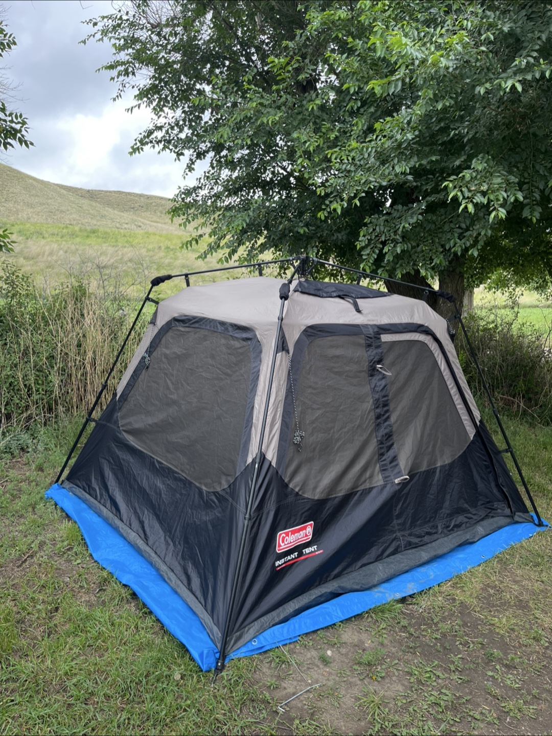 Coleman Instant Tent