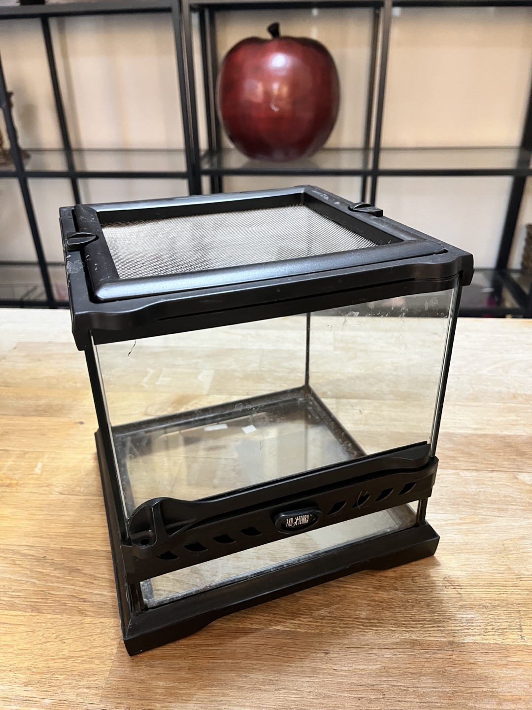 Exo Terra Glass Terrarium - Small