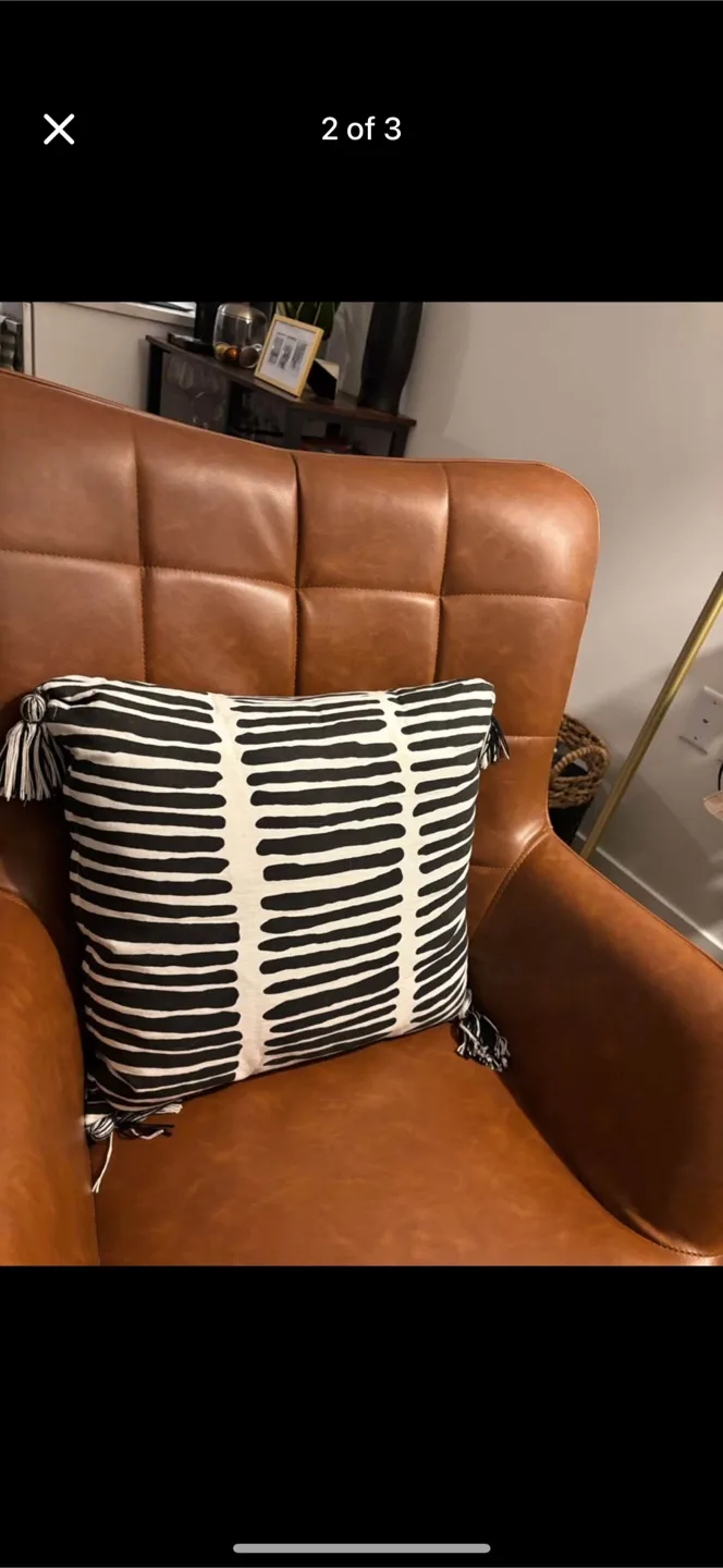 Black & White Decorative Pillow thumbnail