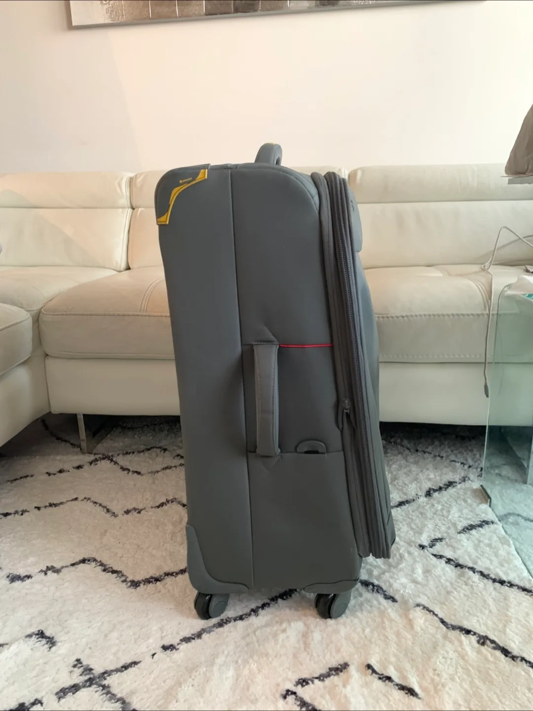 Excellent brand DELSEY (Light suitcase) image indicator(3)