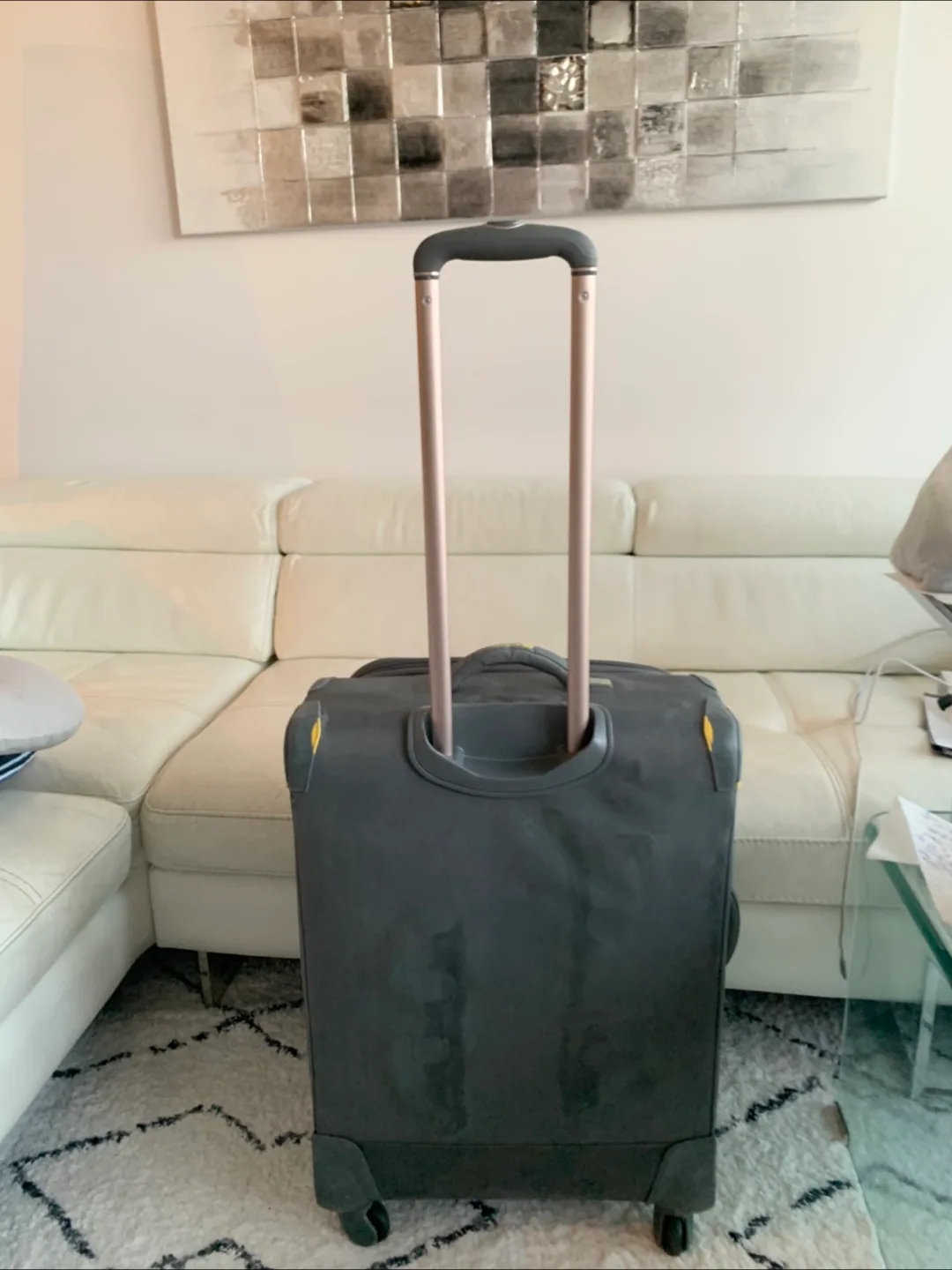 Excellent brand DELSEY (Light suitcase) image indicator(4)