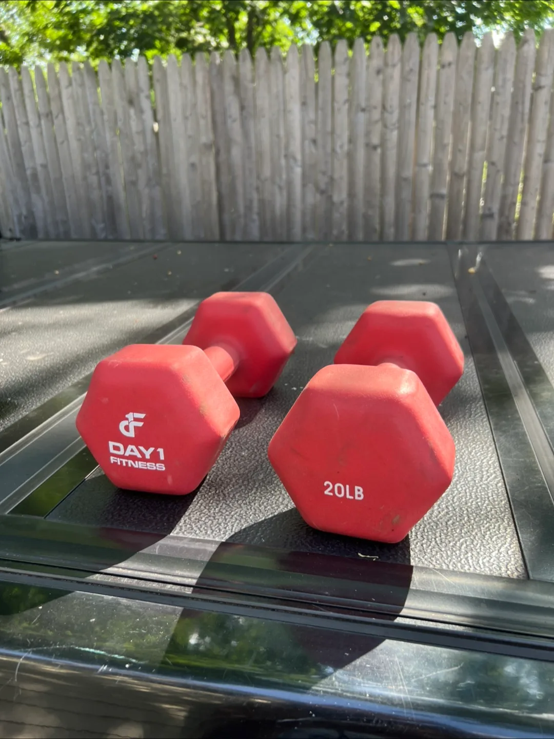 Day1 Fitness 20lb Dumbbells - Pair image indicator(3)