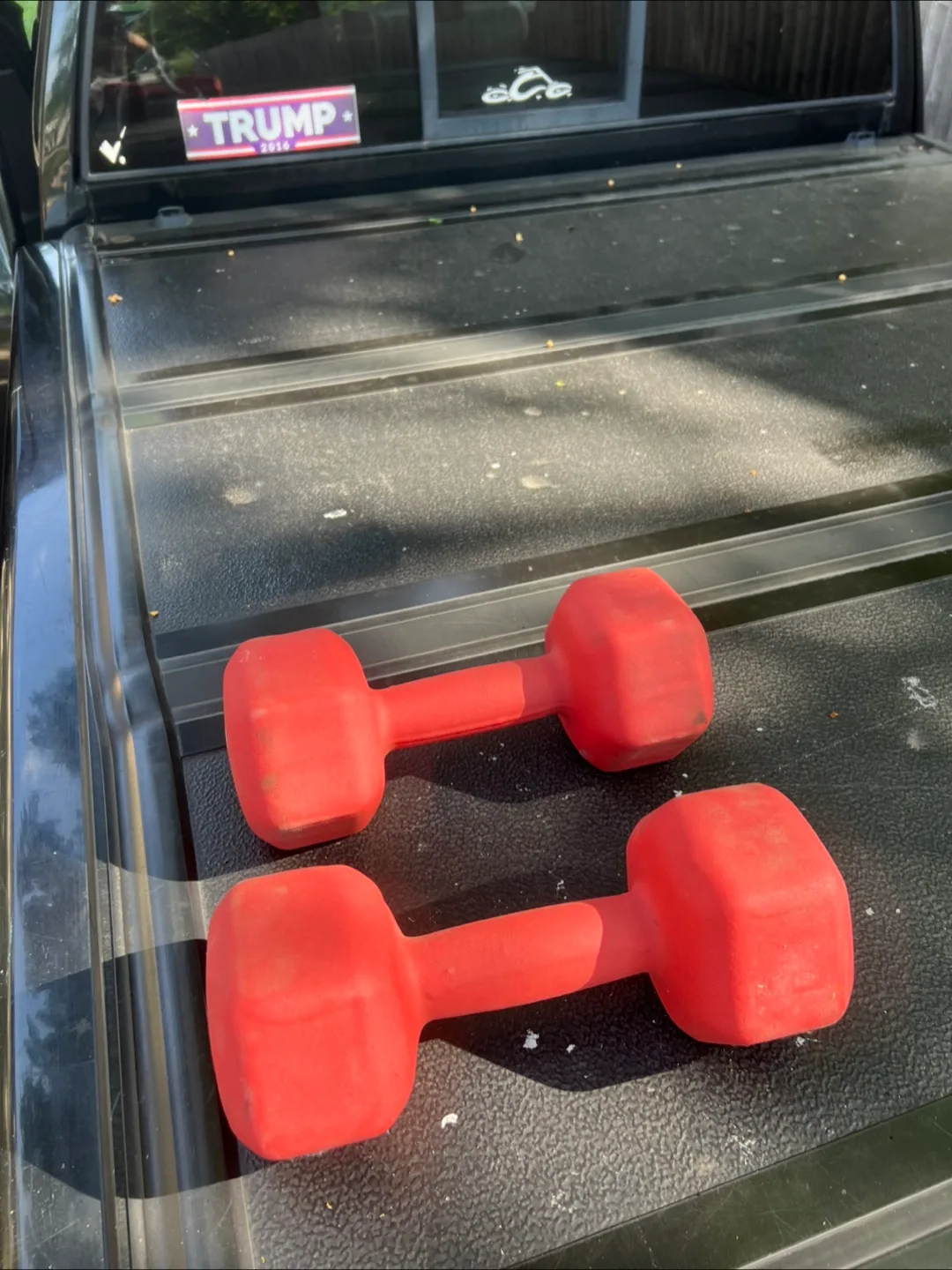 Day1 Fitness 20lb Dumbbells - Pair image indicator(2)