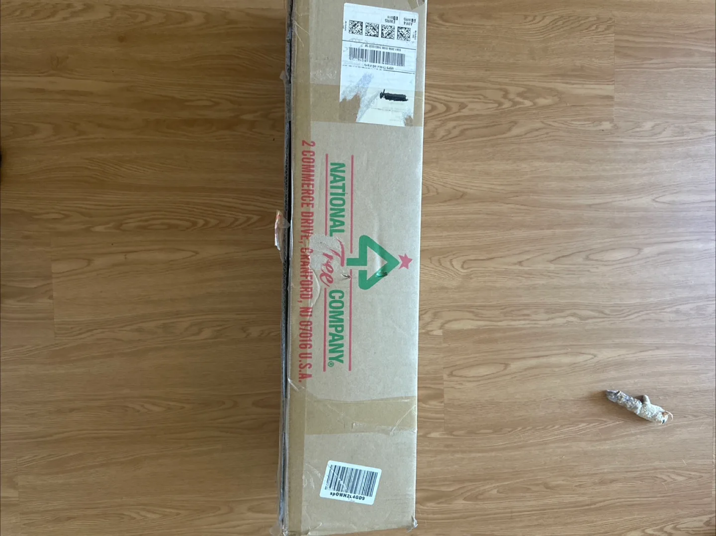 #FreeCycle  National Tree Company 4' Pre-Lit Tree thumbnail
