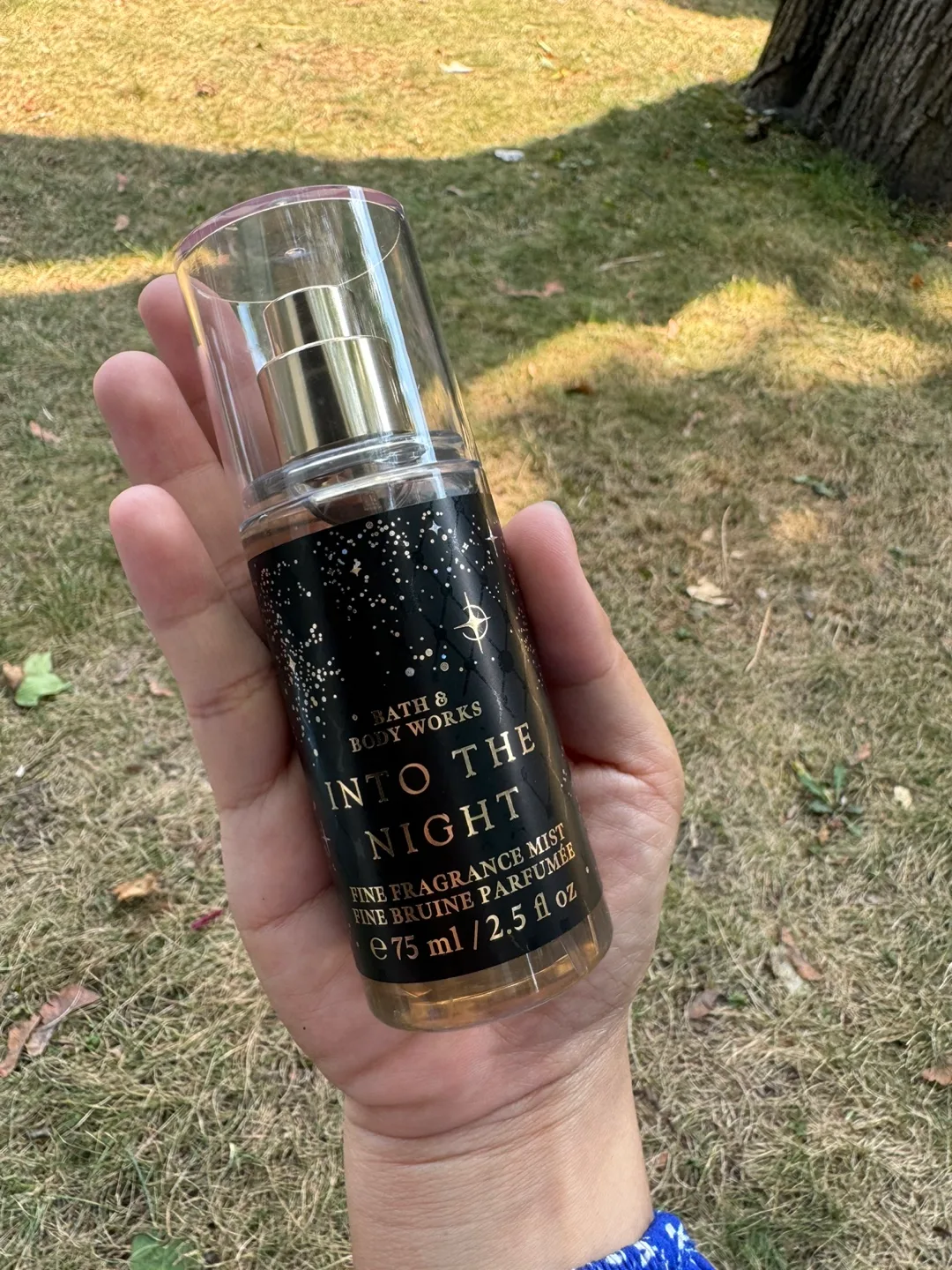 Bath & Body Works Into The Night Mist thumbnail