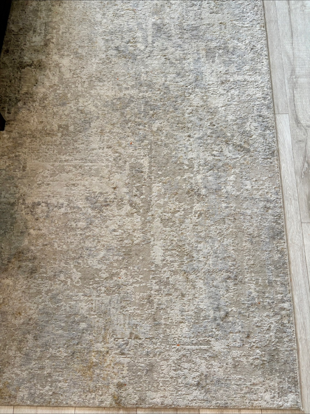 Area Rug 8x0 - Neutral Tones - photo 2