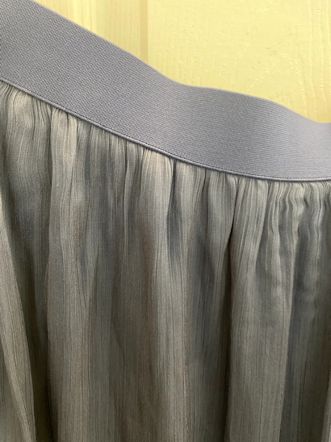 Blue Skirt image indicator(2)