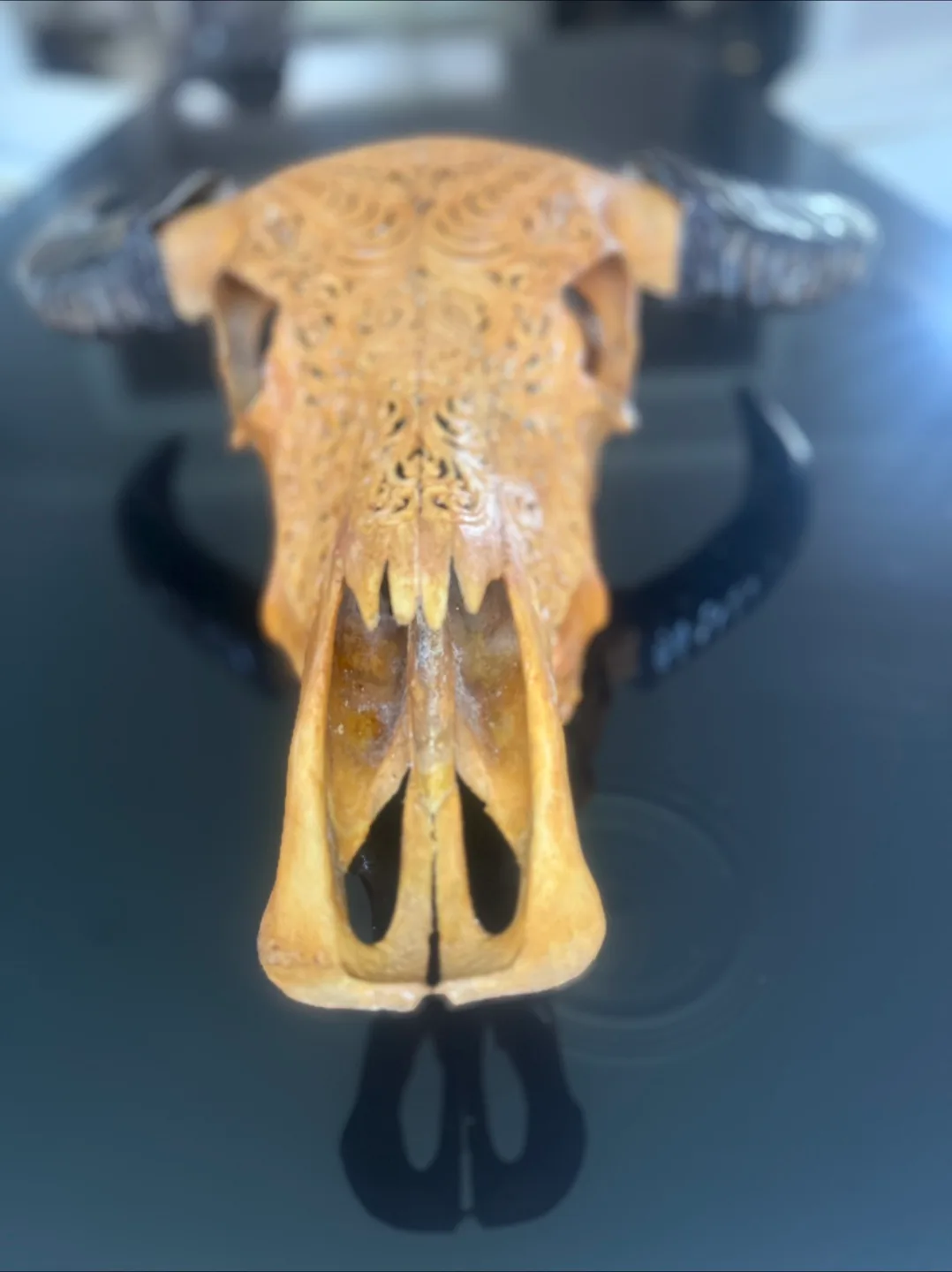 Carved Water Buffalo Skull image indicator(2)