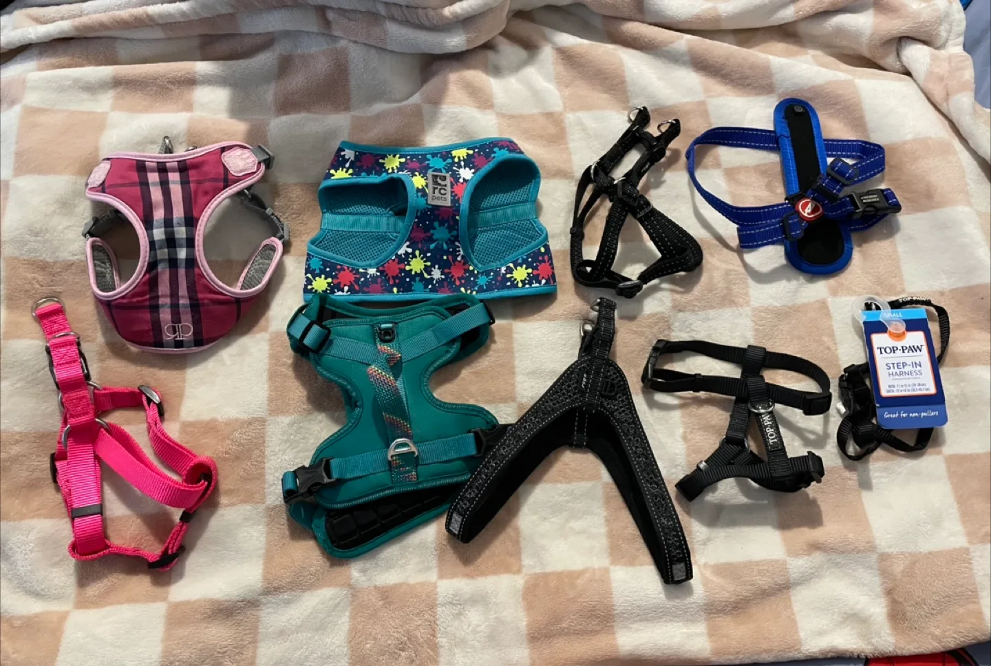 Small Dog Harnesses ($5 Each) thumbnail