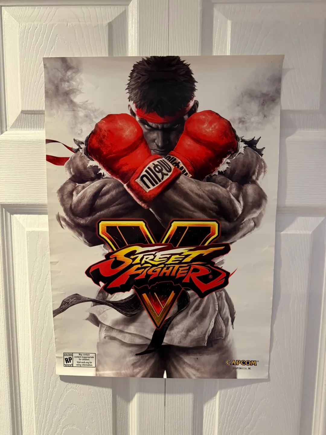 Street Fighter 5 V Promo Poster 20x14 inches thumbnail