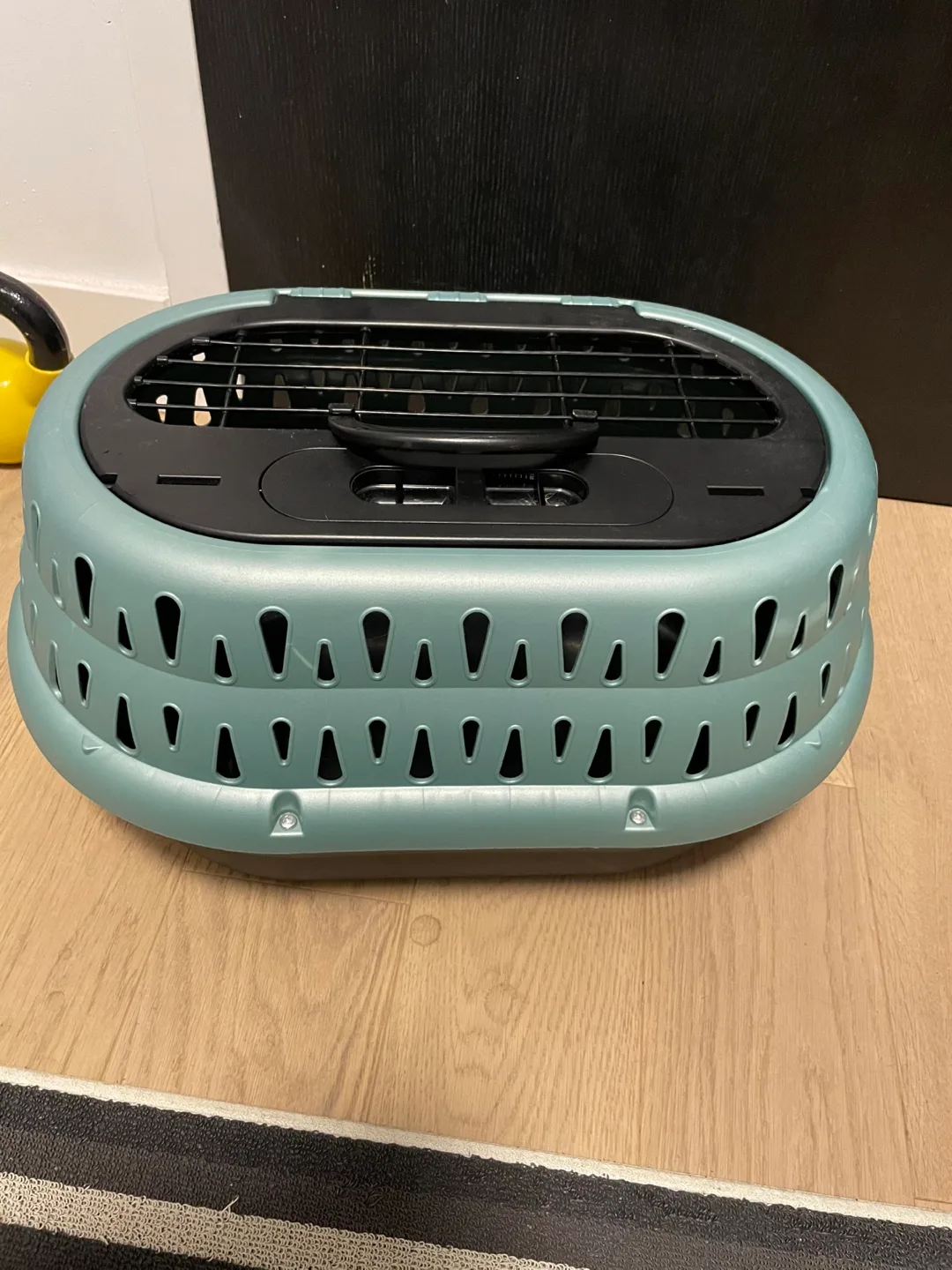 Pet Carrier - Green thumbnail