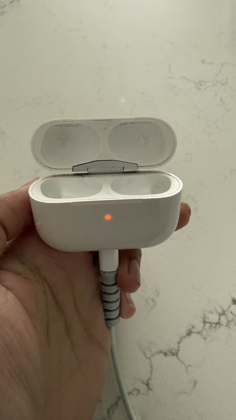 AirPods Pro Charging Case Only - photo 2