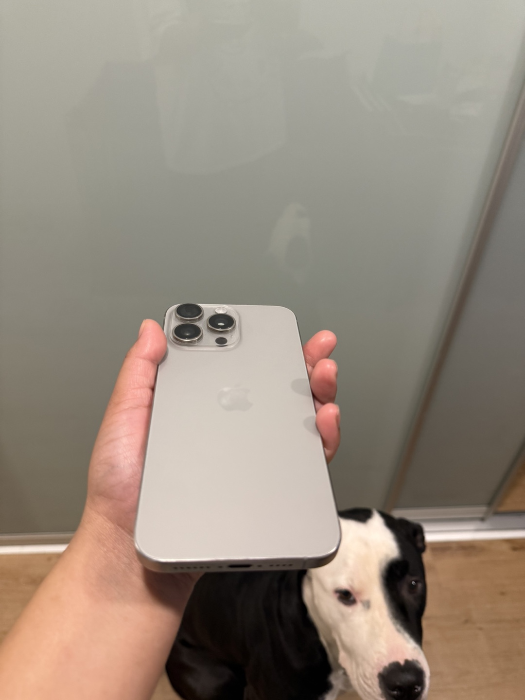 iPhone 15 Pro Max titanium - photo 5