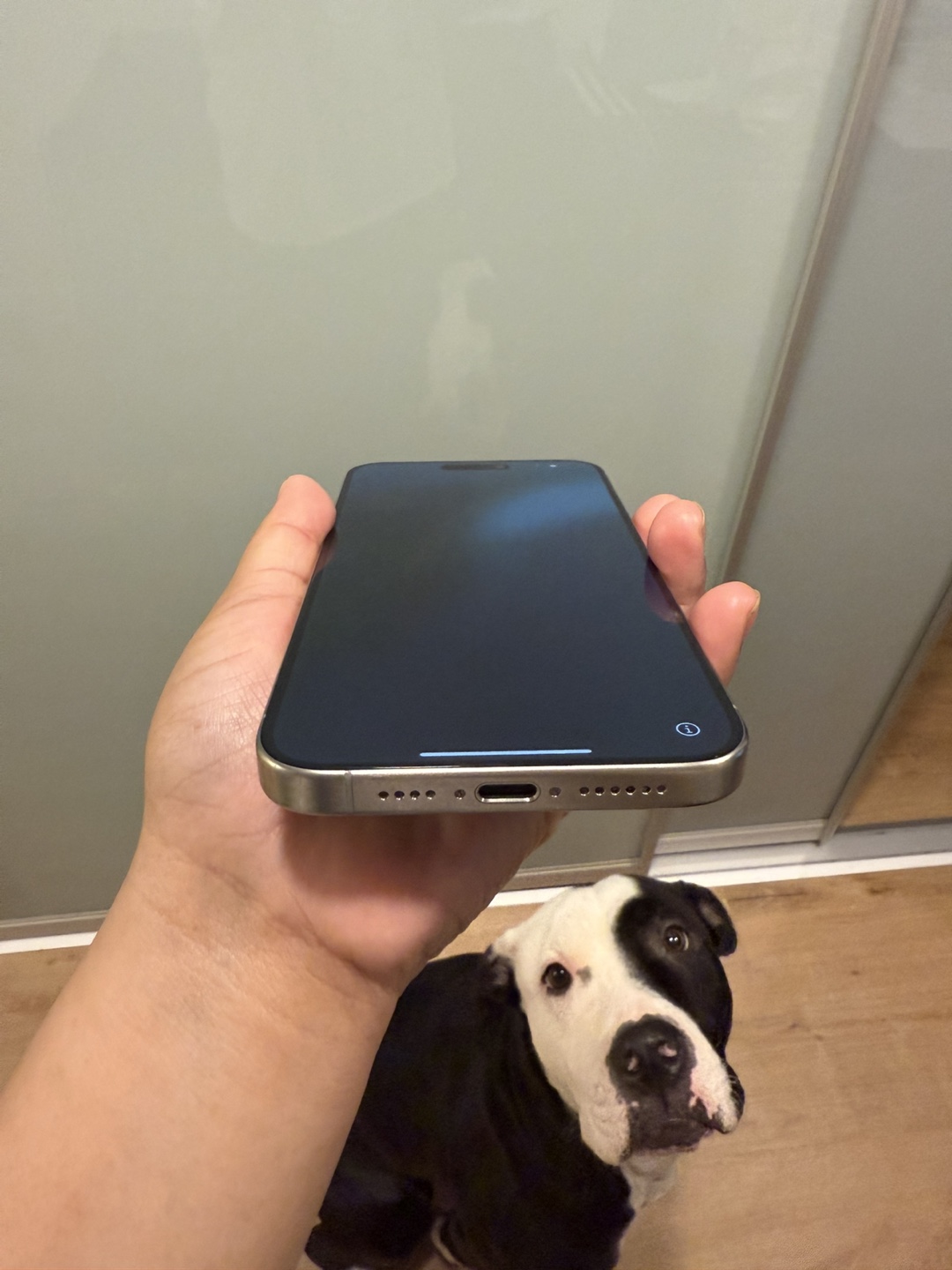 iPhone 15 Pro Max titanium - photo 4