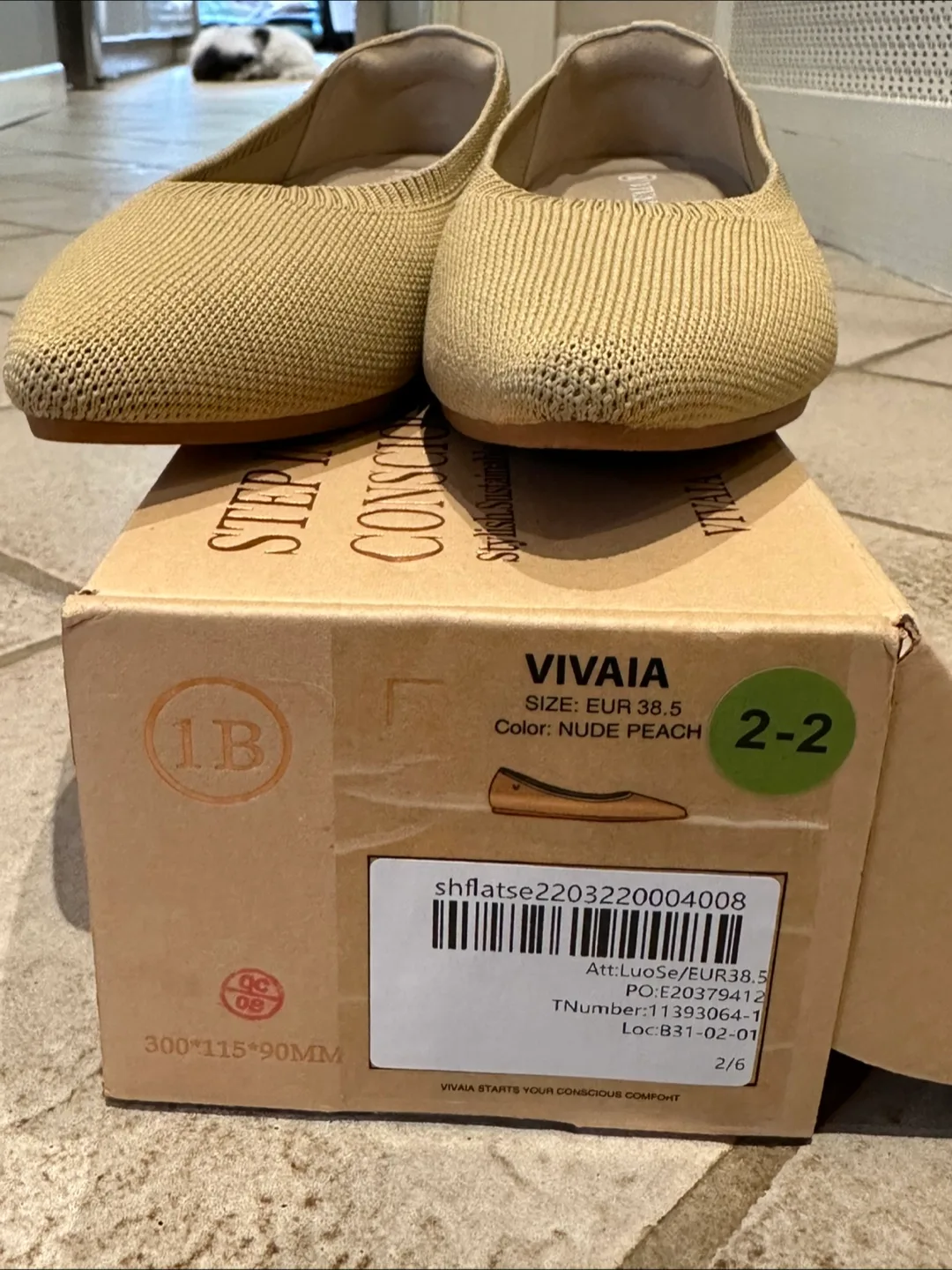 VIVAIA Nude Peach Flats - Size 38.5 women’s image indicator(3)