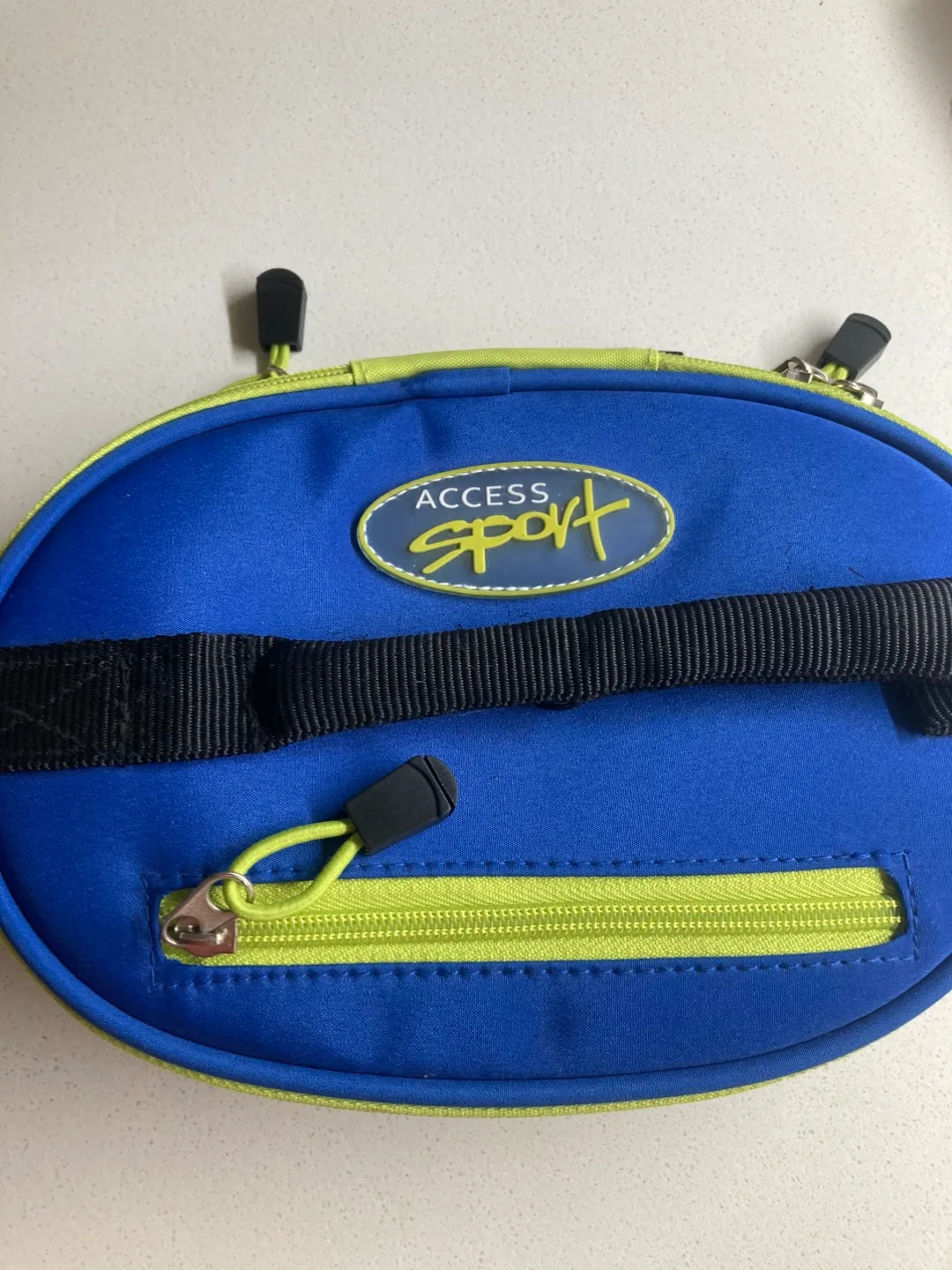 Lunch Bag—collapsible & insulated. image indicator(2)