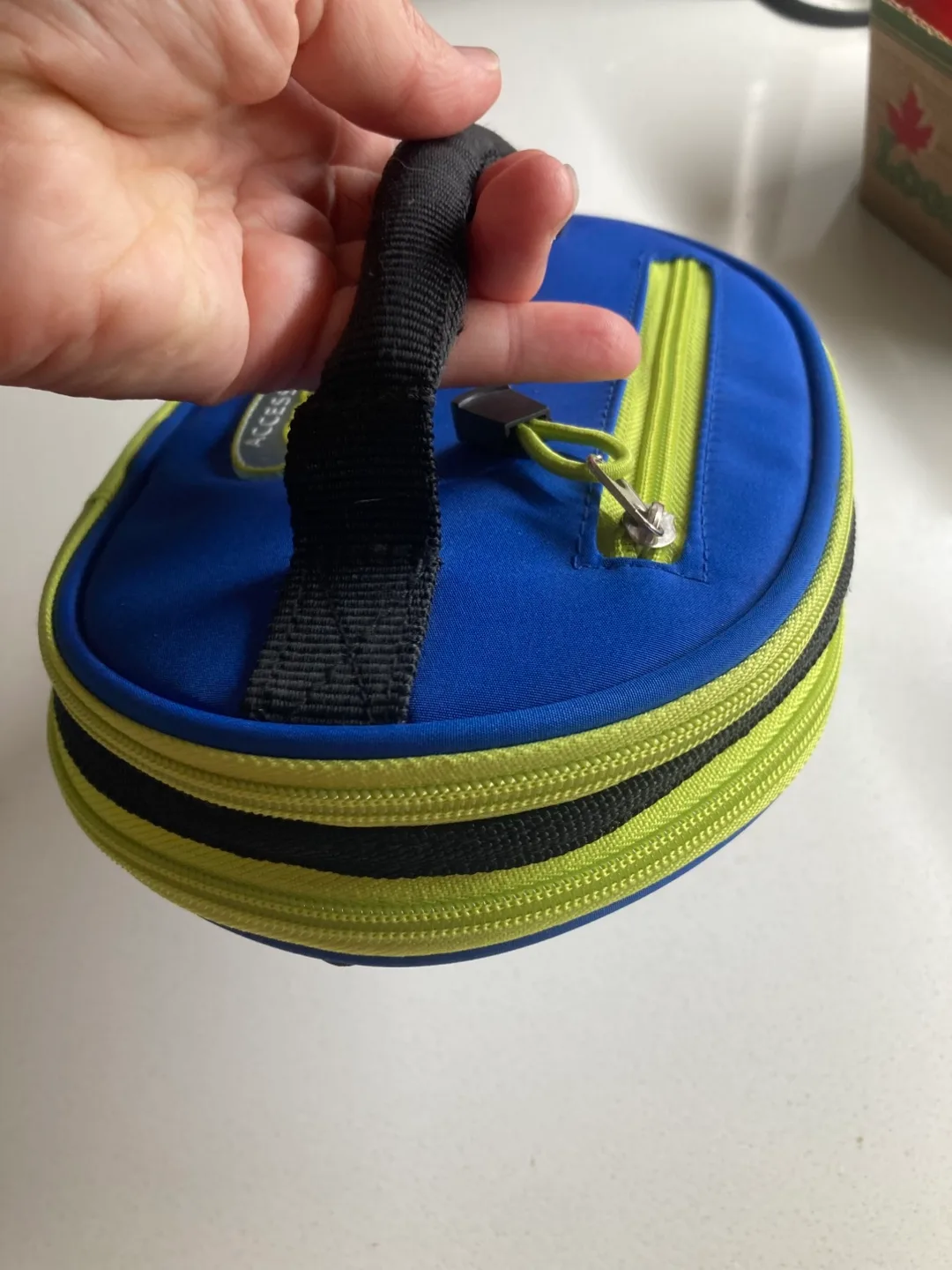 Lunch Bag—collapsible & insulated. image indicator(3)